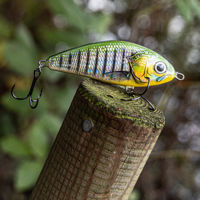 Salmo Fatso Lures