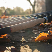 Daiwa Connoisseur Pro Match Rods