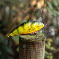 Salmo Fatso Lures