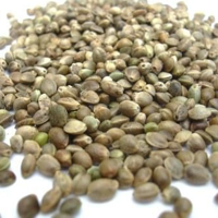 Standard Hempseed 800g 