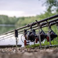 Daiwa 20 Tournament Basia 45SCW QD Reel