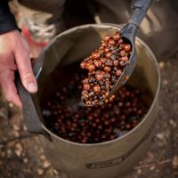 Fox Carpmaster Water Buckets