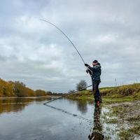 Guru N-Gauge Specimen Barbel Rod 12ft 2.25lb