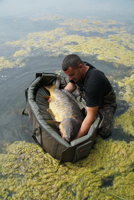 Fox Deluxe Carpmaster Mats