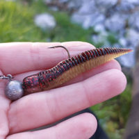 Savage Gear Ned Dragon Tail Slug