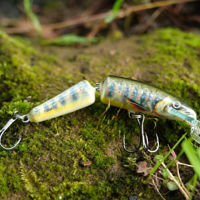 Salmo Fanatic Floating Lures 7cm