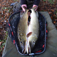 Korum Snapper Latex Folding Pike Spoon Net