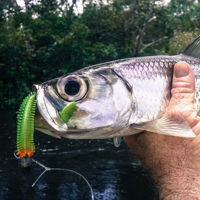 Fox Rage Spikey Shad Mixed Colours