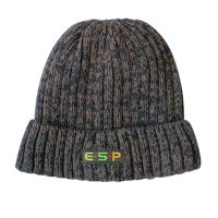 ESP Camo Beanie