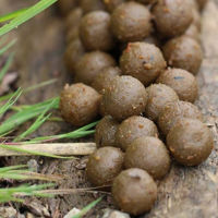 CC Moore Odyssey XXX Shelf Life Boilies 1kg