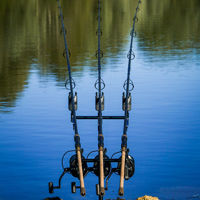 Wychwood Epic Carp Rods