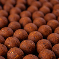 DNA Baits Secret 7 Shelf Life Boilies