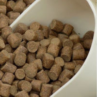 Skretting Carp Pellets 900g