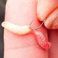 Guru F1 Maggot Hooks Barbless