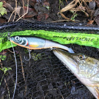 Rapala X-Rap Peto 14cm/39g