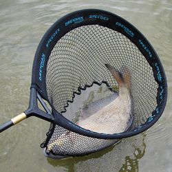 Drennan Speedex Carp Net 18inch