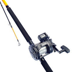 Daiwa Sensor Boat Combo 20-30lb