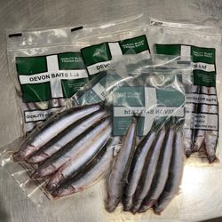 Devon Baits Frozen Anchovy