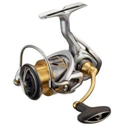 Daiwa 21 Freams LT Reels