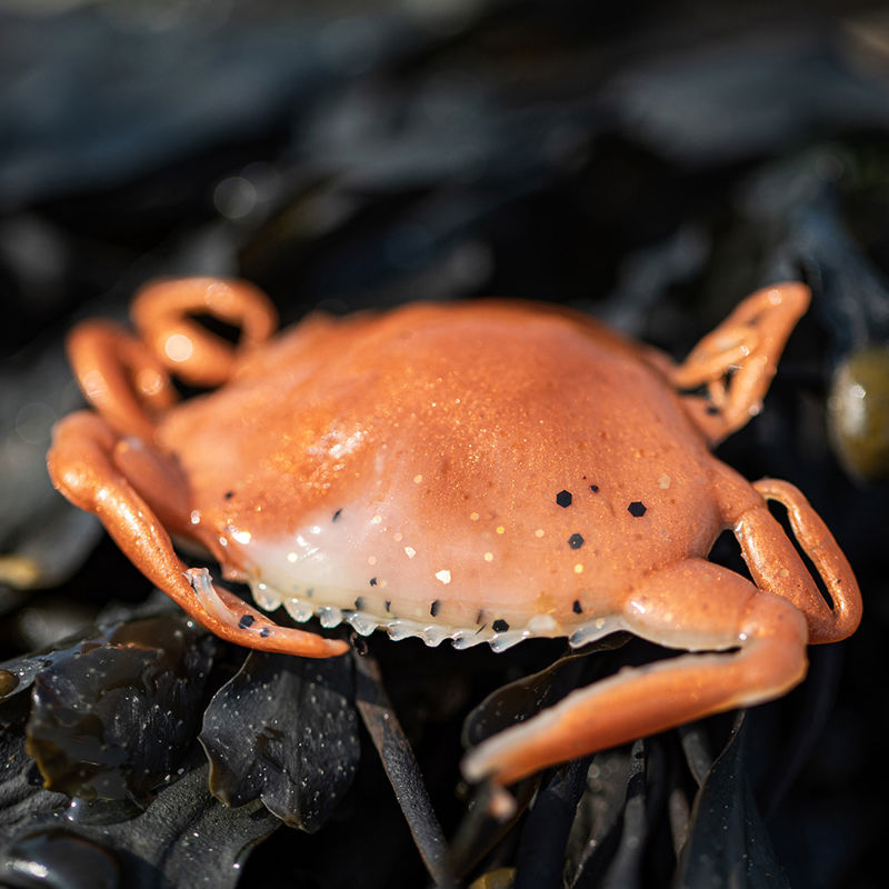 Berkley Gulp Saltwater Natural Peeler Crab 50mm