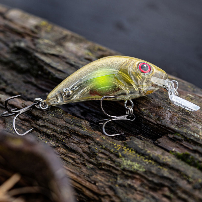 Salmo Rattlin Hornet Shallow Floating 4.5cm