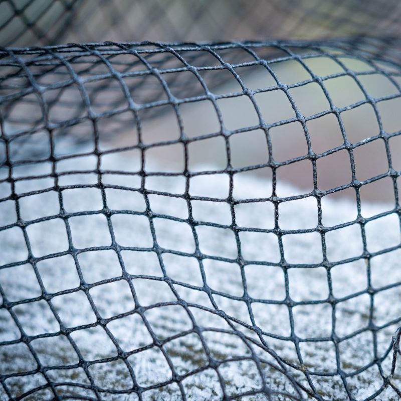 Daiwa Latex Landing Nets