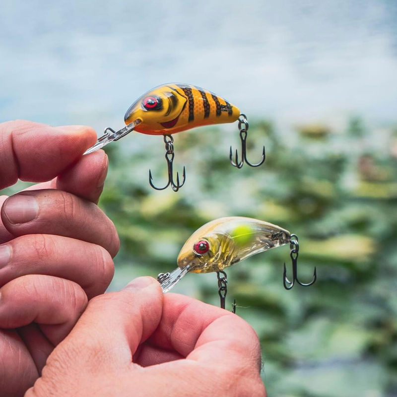 Salmo Rattlin Hornet Floating Lures