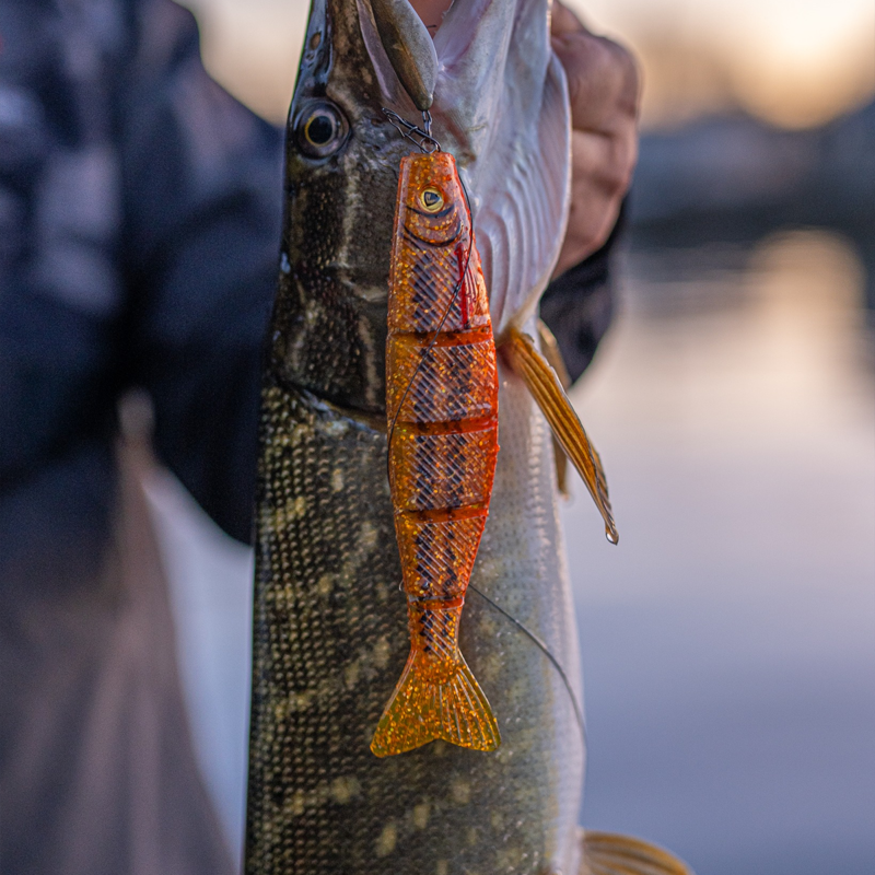 Fox Rage Pro Shad Jointed Shads