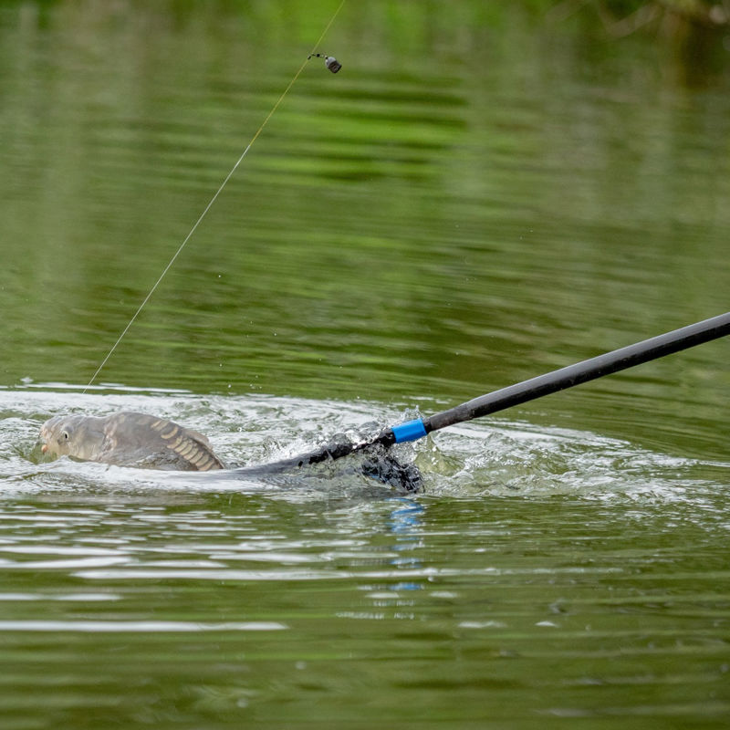 MAP Dual Landing Net Handle 3.0m