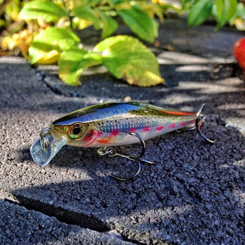 Rapala BX Minnow 10cm/12g