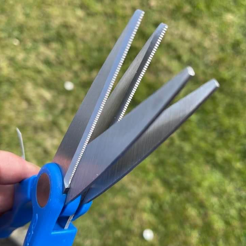 Cresta Double Bladed Worm Scissors