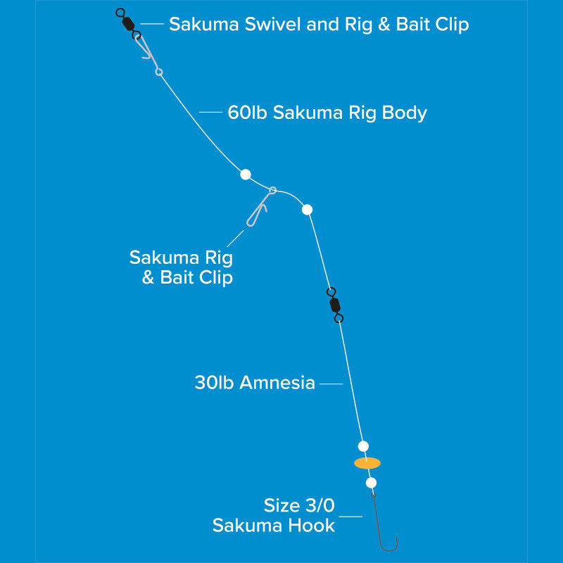 Sakuma Bass Rig