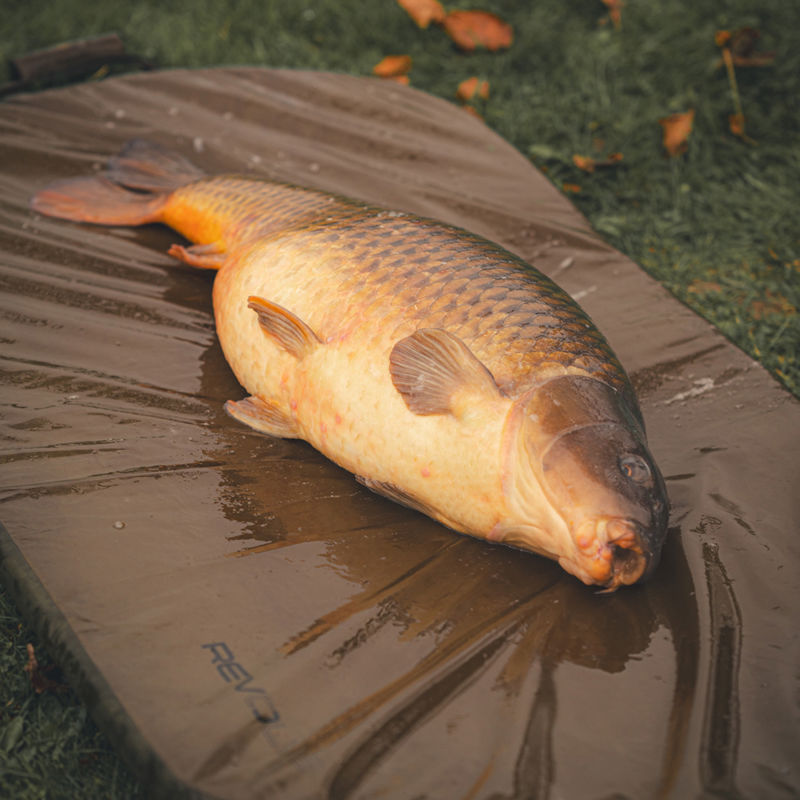 Avid Carp Revolve Folding Flat Mat