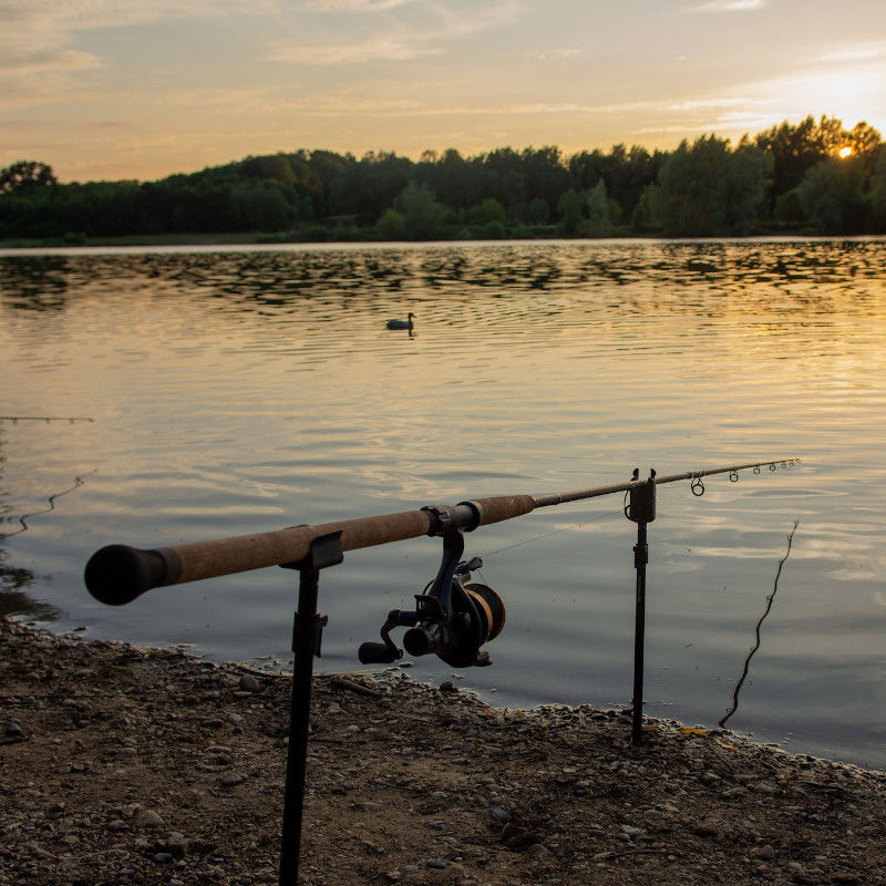 Wychwood Agitator CR-C Catfish Rods