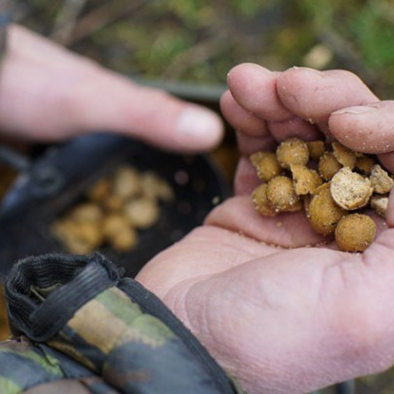 CC Moore Live System Shelf Life Boilies