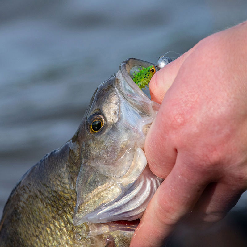 Fox Rage Micro Jig Heads