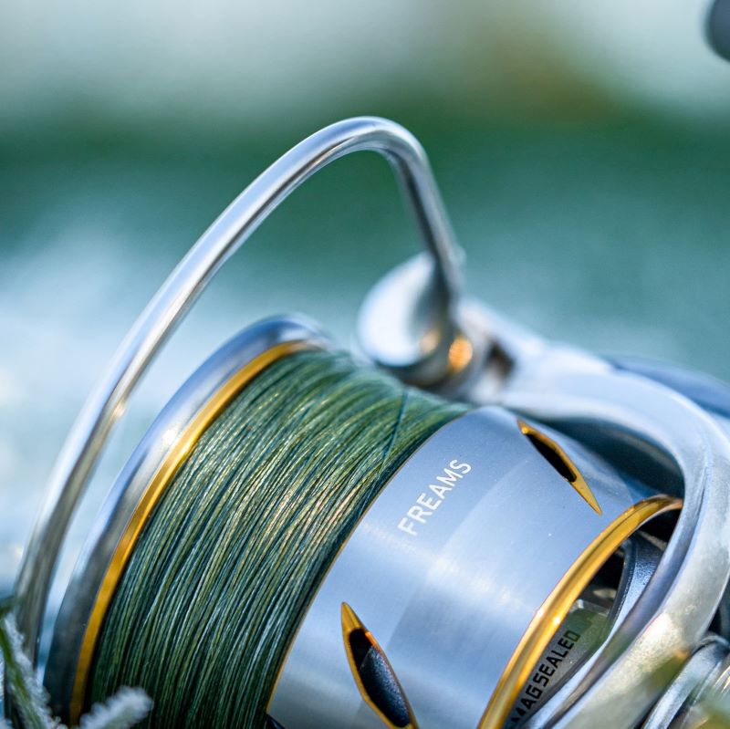 Daiwa 21 Freams LT Reels