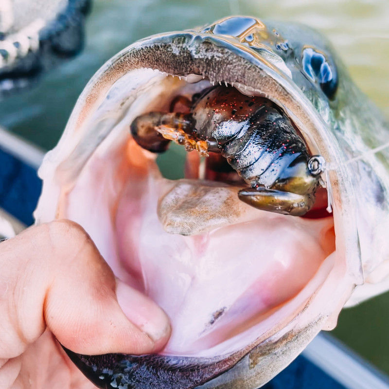 Megabass Sleeper Craw 3inch