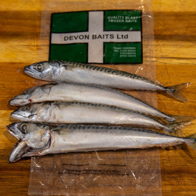 Devon Baits Frozen Mini Mackerel