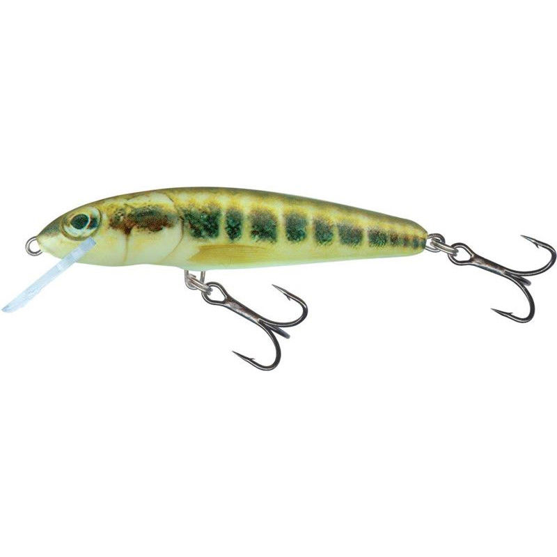 Salmo Minnow Crankbaits