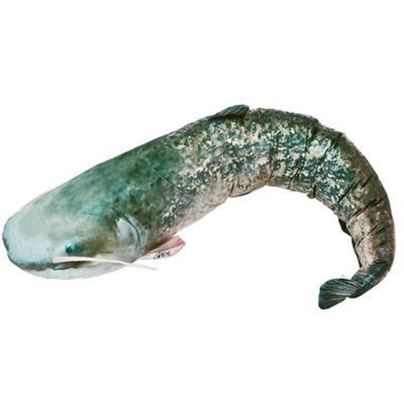 Gaby Catfish Pillows 18.99