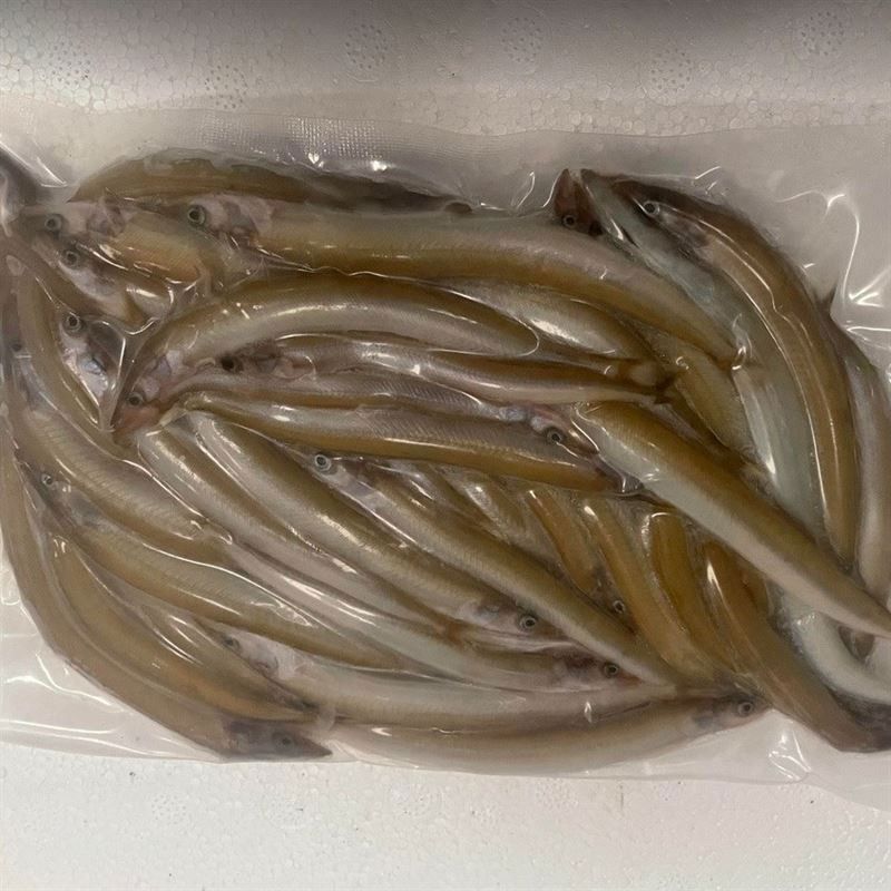 Devon Baits Bulk Frozen Sand Eels