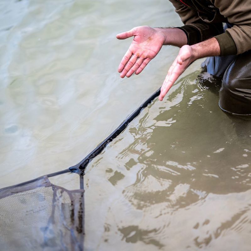 Trakker Sanctuary T8 Landing Net 42inch