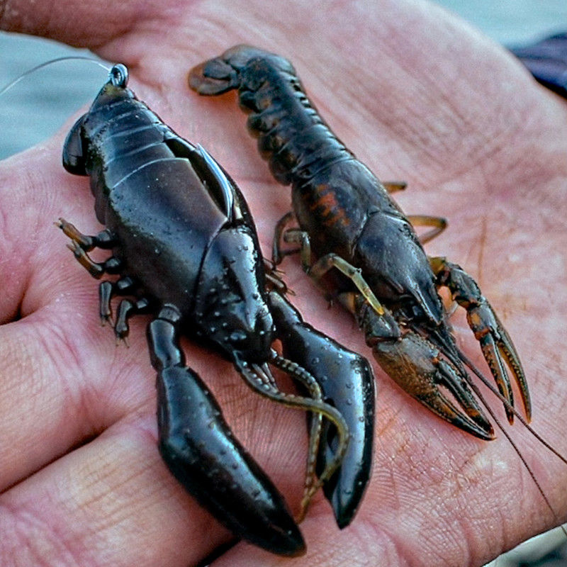 Megabass Sleeper Craw 3inch