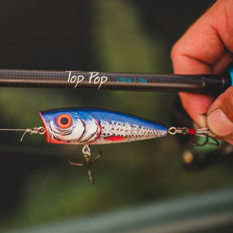 Salmo Rattlin' Pop Floating Lures 7cm