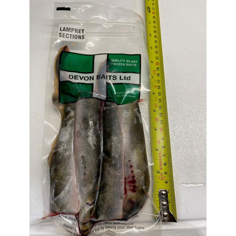 Devon Baits Frozen Lamprey Sections