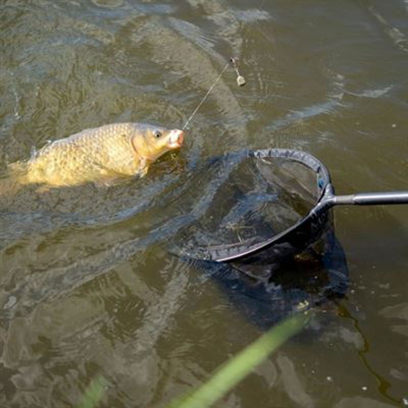 MAP F1 Match Landing Nets