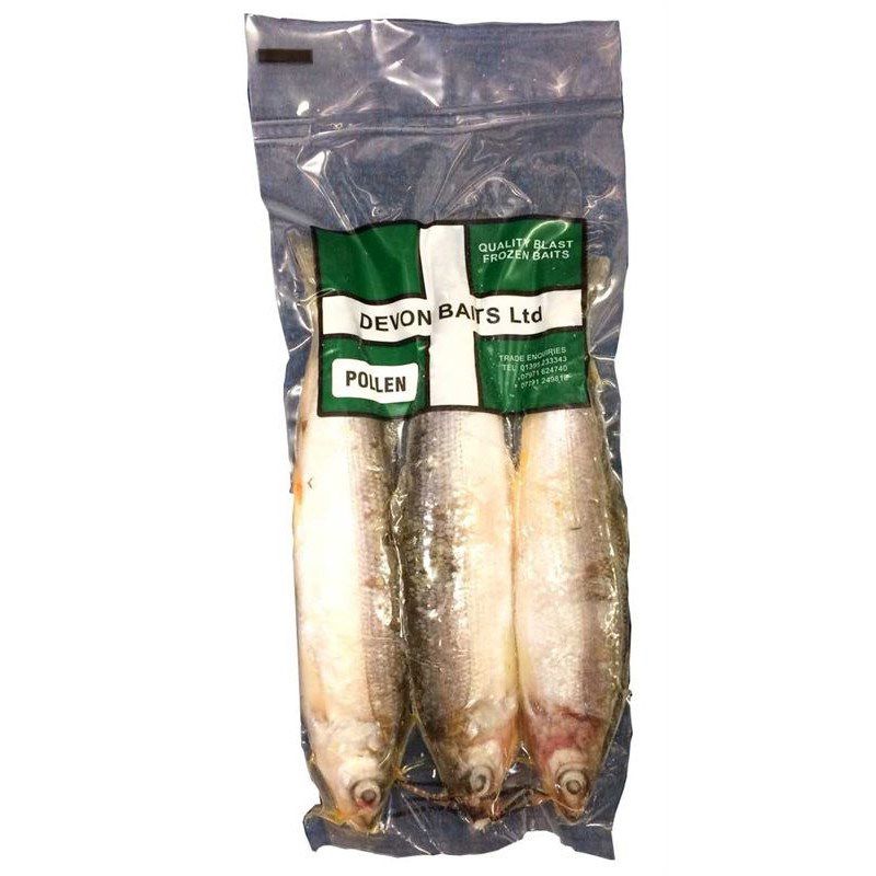 Devon Baits Frozen Pollan (2/3 Per pack)